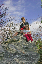 CRW_9650_JFR